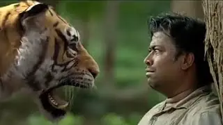 ఎక్కువ కాలం జీవించే జంతువులు  shortest lifespan  & Long Life Animals #YT6WORLDD