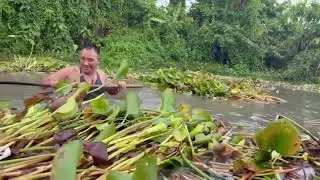 OMG!😨😱😮☹️ flood in Tezu //cleaning contaminated river 