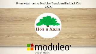 Виниловая плитка Moduleo Transform Blackjack Oak 22229