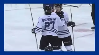 Luka Shcherbyna | WEN Wild | All (11) WHL Goals from 2023-24