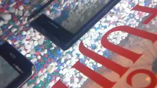 Fujitsu Arrows F-07D: Video recording when underwater