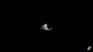 Urlic - Aura (visualizer)