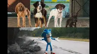 Super Pups meet Sonic (My first 2023 picture)