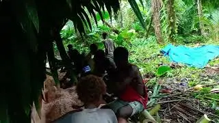 The Sago Pith Extraction (Part 1)