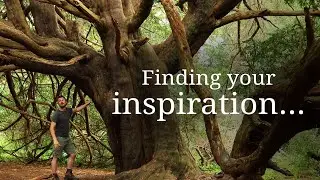Get Inspired by Nature | How to Find Your Creativity?