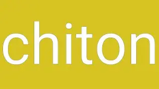 Chiton Definition & Meaning