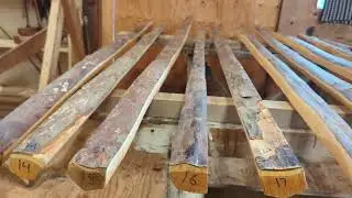 Yew Longbow Staves #2