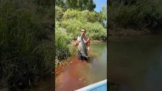 First California Salmon 2025 season! #fishing #sacramentoriver #salmonfishing #featherriver