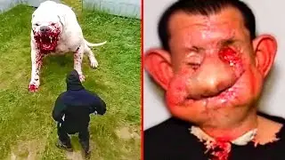 30 Thieves Who Got Owned By Guard Dogs