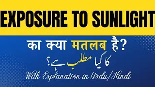 Exposure to sunlight Meaning in Hindi |Exposure to sunlight Ka Kya Matlab Hota Hai' Hindi/Urdu