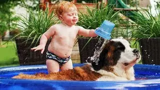 Cute Dogs - Adorable Babies and Dogs Playing Water Games ★ Funny Dogs