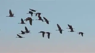 Last Mountain Lake National Wildlife Area