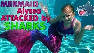 Kid Sharks Attack Mermaid Alyssa!!