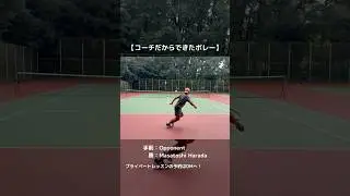 A volley only a coach could pull off🎾 #テニス #tennis #TENEZ #CoachLevel #VolleyMastery