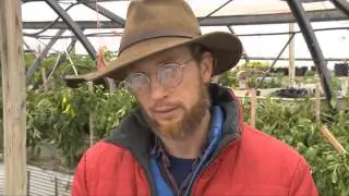 Millsap Farms