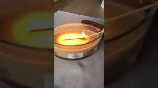 Свеча Woodwick Ellipse 453 г