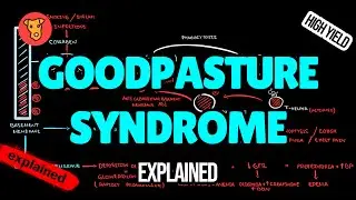 Goodpasture Syndrome EXPLAINED: Pathogenesis, Symptoms & Treatment (USMLE High-Yield Guide)