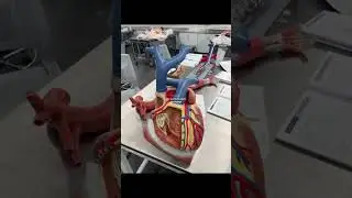 #cardiology #cardiovascularcare #moments #medico #heartofhuman