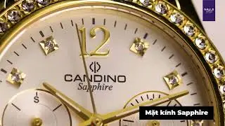 [GALLE AT A GLANCE] Candino Lady Elegance C4685/1
