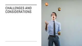 Price and Promotion Analytics