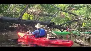 On the Withlacoochee River @ Mayor and Chairmans Paddle by Suwannee Riverkeeper 2025-04-19