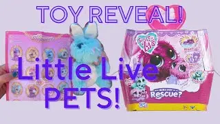 Twins Open Little Live Scruff-A-Luvs Pets!