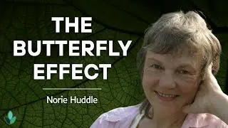 Norie Huddle: The Butterfly Effect in Nature's Regeneration & Rights