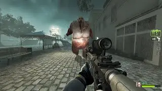 Left 4 Dead 2 Expert Gameplay M4 and TTI Combat Master 2011 John Wick MW2022 Full Weapon Anim Mod
