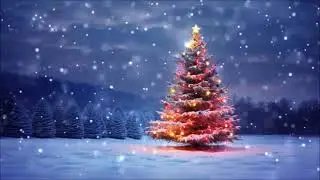 Carl Mei an Co. - Jingle Bells