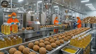 Inside a Coconut Oil Refinery &mdash; Copra Chips to Ultra-Clear Bottled Oil (Full Process)