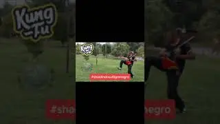 Kung Fu Shaolin do Sul Tigre Negro (FU JOW PAI) Forma de Fac&atilde;o Chin&ecirc;s (DAO) #kungfu #wushu