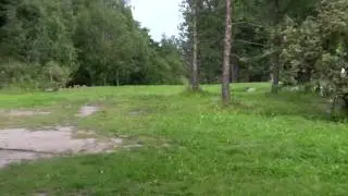 lcgm8 Disc Golf - Tali Open 2009 Final pt5