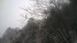 Live - Snowfall in Shimla Today Jan. 2020