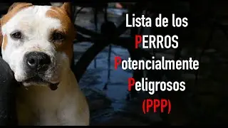 🚫Lista de los Perros Potencialmente Peligrosos (PPP)🐕🚫