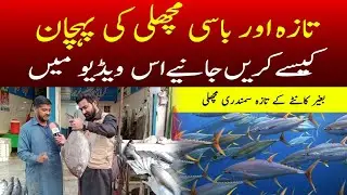 Taza Aur Basi MACHLI (Fish) Ki Pehchan Kesy Karyn | Best Fish variety | تازہ اور باسی مچھلی کی پہچان