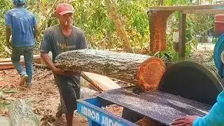 Cara tercepat merajang kayu waru di buat reng dengan mesin serkel rakitan