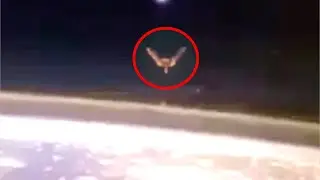 NASA Shuts Down The Live Feed After Something Massive Shows Up At The International Space Station