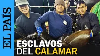 PESCA ILEGAL | La enfermedad que mata a los marineros de la industria del calamar | EL PAÍS