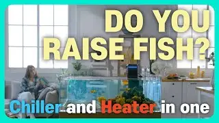 chiller and heater in one. Now manage your fish tank temperature with the [ElecQUA] thermostat.