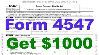 Счета Трампа для детей: пошаговая инструкция по заполнению формы 4547 (получите стартовый взнос о...