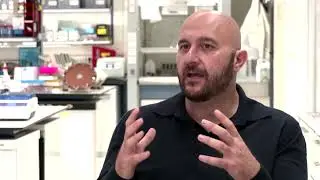 The human-like embryo made without eggs or sperm