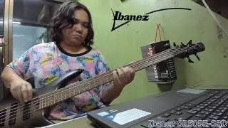 Ibanez SR505E-SBD & Dell Inspiron