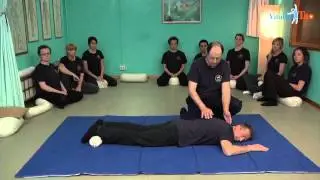 Shiatsu - Douglas Gattini - Trattamento del meridiano di Viscica urinaria e Rene Preview