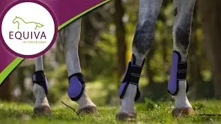 Reiten lernen - EQUIVA-Basics: Gamaschen anlegen