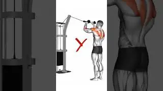 FACE PULLS F&Uuml;R HINTERE SCHULTER #schultertraining  #muskelaufbautipps #trainingstipps