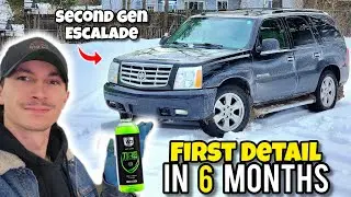 Deep Cleaning my Neglected Daily Driver with NEW Product Line | SATISFYING DETAIL