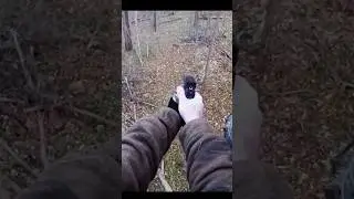 Hunting deer with pistol 🦌#hunting #deer#moose#chasse