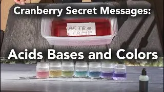 A Classic Thanksgiving Ingredient Can Make Invisible Ink!