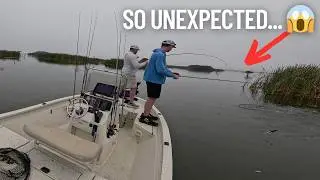 So UNEXPECTED at Lake Headwaters, FL | Didn&rsquo;t See This Coming 😱