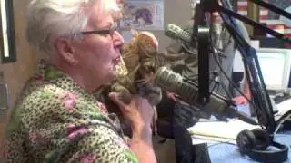 Enchanted Cat Club